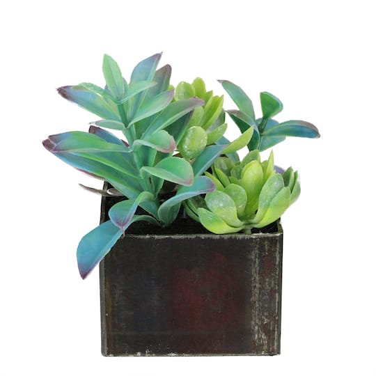 7" Green Artificial Succulents in Square Pot